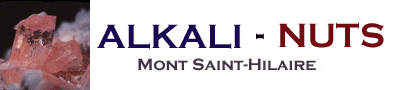 ALKALI-NUTS logo