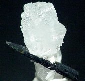 Epididymite crystals - click for larger pic