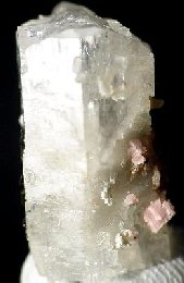 Epididymite crystals - click for larger pic