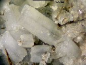 Epididymite crystals - click for larger pic