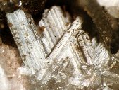 Epididymite crystals - click for larger pic