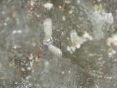 Erdite crystals - click for larger pic