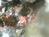 Erythrite crystals - click for larger pic