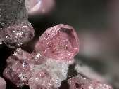 Eudialyte crystals - click for larger pic