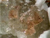 Eudialyte crystals - click for larger pic