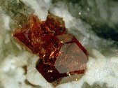 Eudialyte crystals - click for larger pic