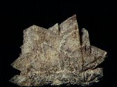 Eudidymite crystals - click for larger pic