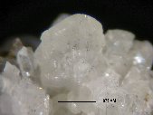 Eudidymite crystals - click for larger pic