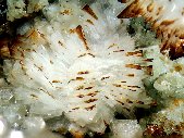 Eudidymite crystals - click for larger pic