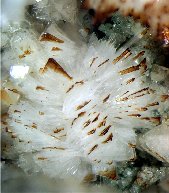 Eudidymite crystals - click for larger pic