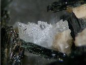 Eudidymite crystals - click for larger pic