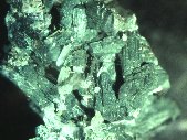 Ferroceladonite crystals - click for larger pic