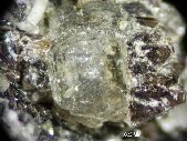Gaidonnayites crystals - click for larger pic