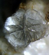 Gmelinite-Na crystals - click for larger pic