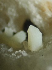 Griceite crystals - click for larger pic