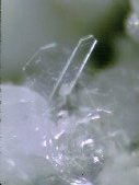 Gypsum crystal - click for larger pic