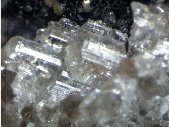 Gypsum crystals - click for larger pic
