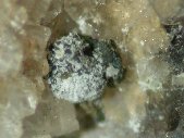 Hessite crystals - click for larger pic
