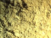 Jarosite coatings - click for larger pic