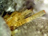 Joaquinite-(Ce) crystals - click for larger pic