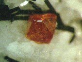 Cristal de khomyakovite - cliquez pour photo grand format