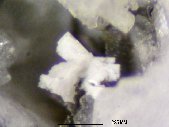 Lanthanite-(Ce) crystals - click for larger pic