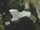 Lanthanite-(Ce) crystals - click for larger pic