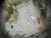 Leifite crystals - click for larger pic