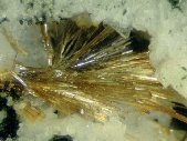 Lorenzenite crystals - click for larger pic