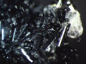 Magnesiohornblende crystals - click for larger pic