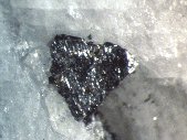 Magnetite crystals - click for larger pic
