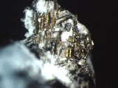 Marcasite crystals - click for larger pic