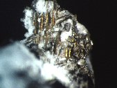 Marcasite crystals - click for larger pic
