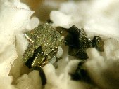 Marcasite crystals - click for larger pic