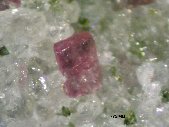 Miserite crystals - click for larger pic