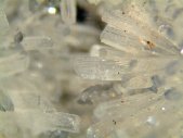 Natrolite crystals - click for larger pic