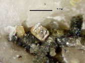Nenadkevichite crystals - click for larger pic