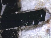 Neptunite crystals - cliquez pour photo grand format