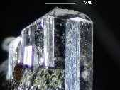 Pectolite crystals - click for larger pic