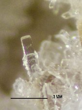 Phillipsite-Na crystals - click for larger pic