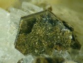 Phlogopite crystals - click for larger pic