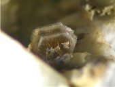 Polylithionite crystals - click for larger pic