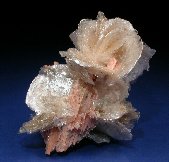 Polylithionite crystals - click for larger pic