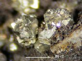 Pyrite crystals - click for larger pic