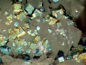 Pyrite crystals - click for larger pic