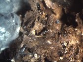Pyrophanite crystals - click for larger pic