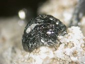 Pyrophanite crystals - click for larger pic
