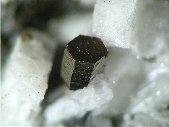 Pyrrhotite crystals - click for larger pic