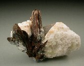 Rasvumite crystals - click for larger pic