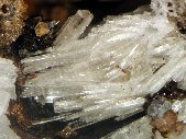 Shomiokite-(Y) crystals - click for larger pic